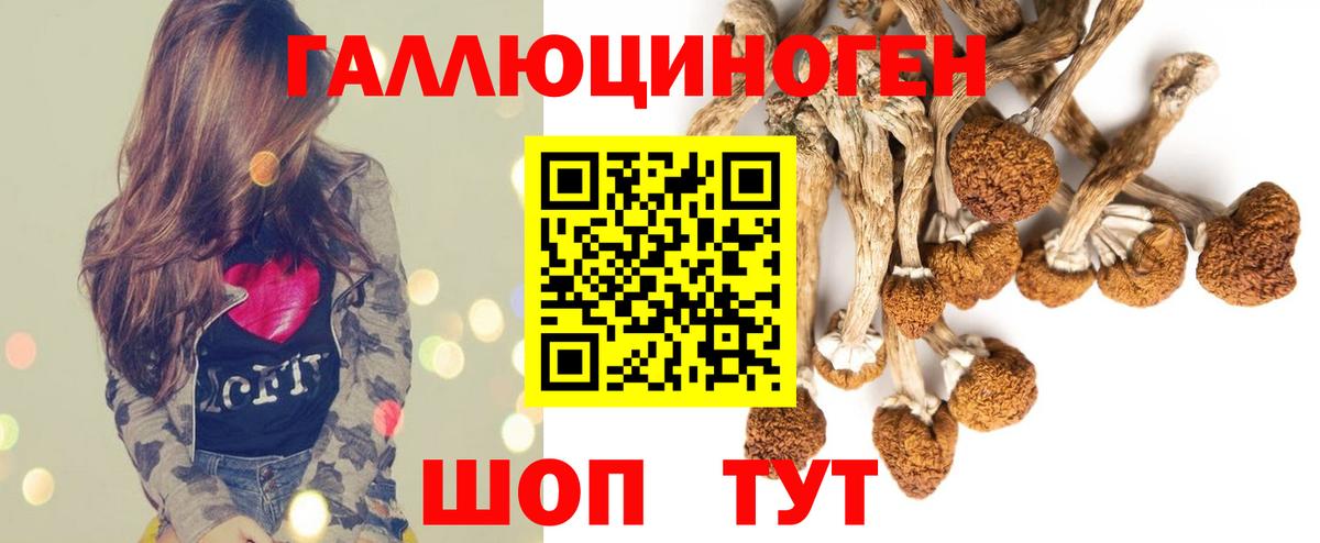 Кузнецк  Галлюциногенные грибы Psilocybine cubensis  Галлюциногенные грибы мухоморы  Вход с VPN 